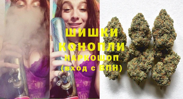 трава Вязьма