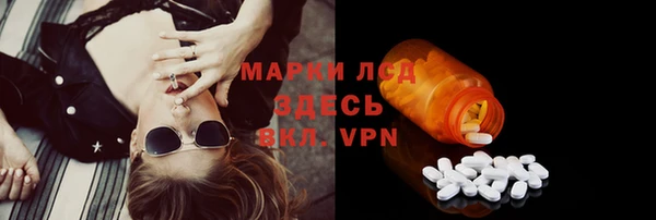 дурь Гусев