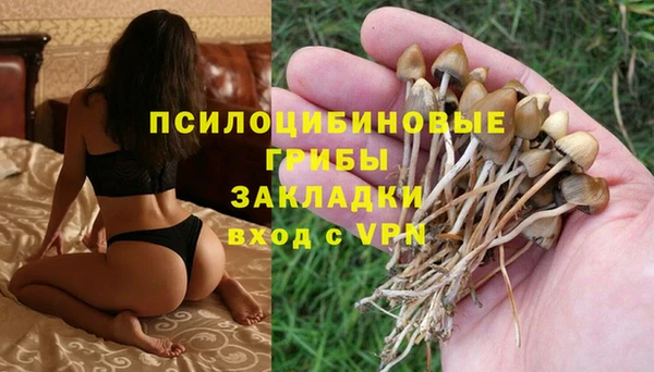 mix Горняк