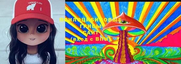 дурь Гусев