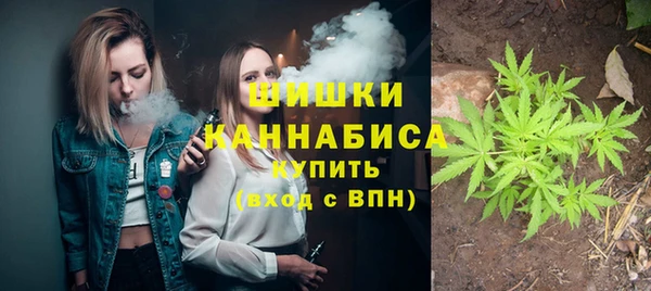 дурь Гусев