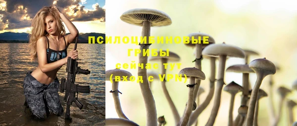 прущие крисы Гусь-Хрустальный
