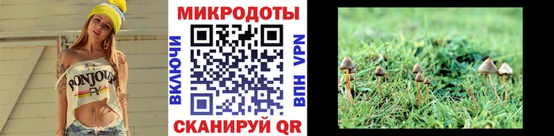 мега ССЫЛКА  Дагестанские Огни  Псилоцибиновые грибы Psilocybe  что такое наркотик 